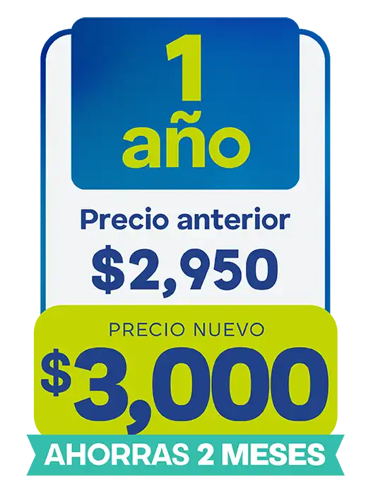 1 año, $3000
